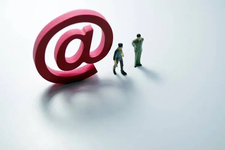 开云网页版登录入口定制的成本效益分析：如何在预算内实现最大价值？