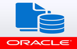 Oracle数据库管理工具有哪些?-北京开云网页版登录入口公司