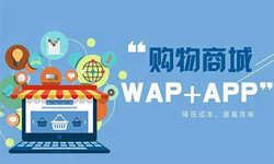 手机商城app开云网页版登录入口流程-北京开云网页版登录入口外包公司