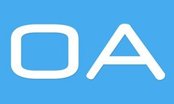 软件外包公司、OA系统开发功能有哪些？费用是多少-开云网页版登录入口公司[北京开云网页版登录入口]