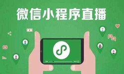 微信小程序开发、直播小程序开发-开云网页版登录入口开云网页版登录入口公司 