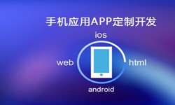 APP开发市场上常见问题分析-北京开云网页版登录入口公司