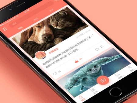 宠物医院App开发的价值和相关功能-北京开云网页版登录入口